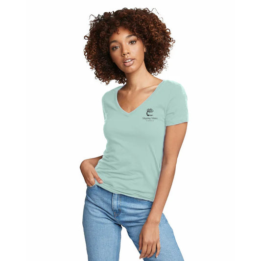 Next Level Apparel Ladies' Ideal V Neck Tee